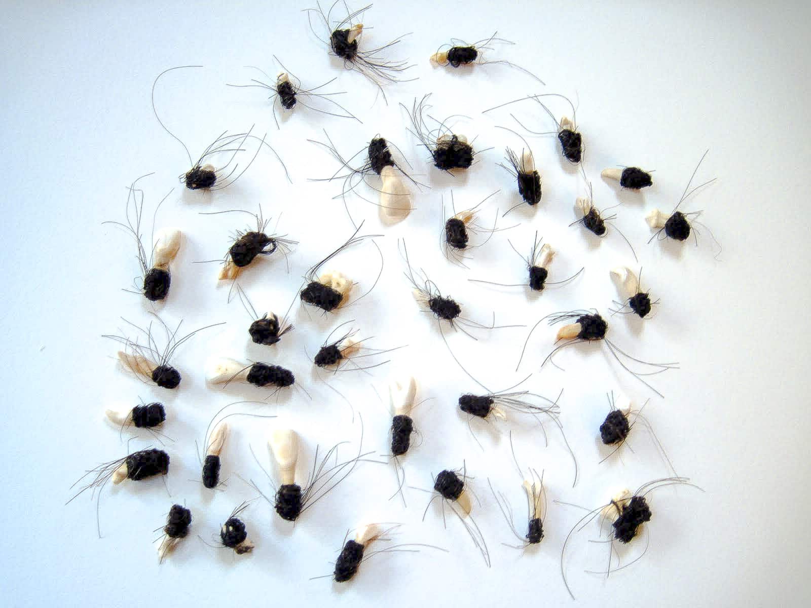 Multiple horse teeth with crocheted brown horsehair around their roots